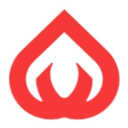 LaslesVPN Logo